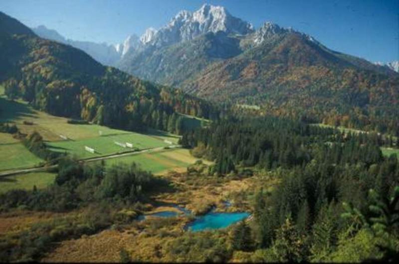 Pr'Gavedarjo Eco Heritage B&B Краньска Гора Экстерьер фото